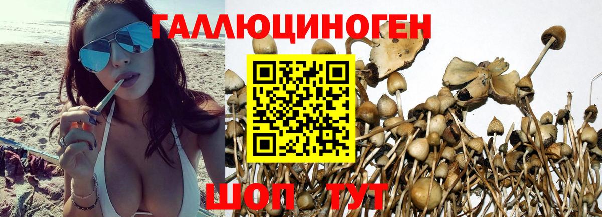 Псилоцибиновые грибы MAGIC MUSHROOMS  Вход с VPN  купить наркотик  Воткинск 