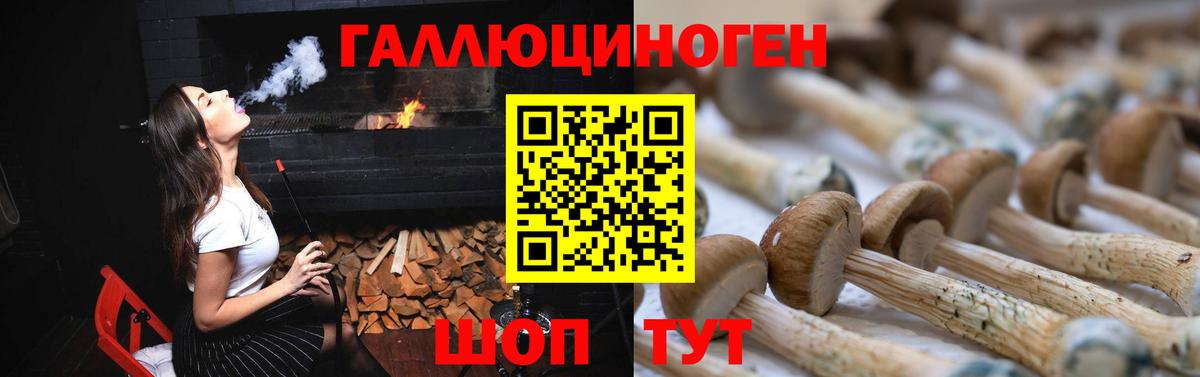Псилоцибиновые грибы Cubensis Воткинск